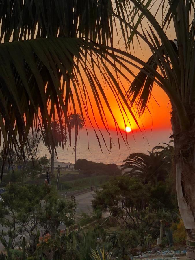 Moonlight Beach Motel Encinitas Dış mekan fotoğraf